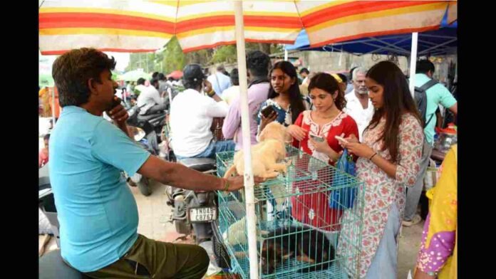 Beyond 8, experiential learning, market-ready skills, alternative education